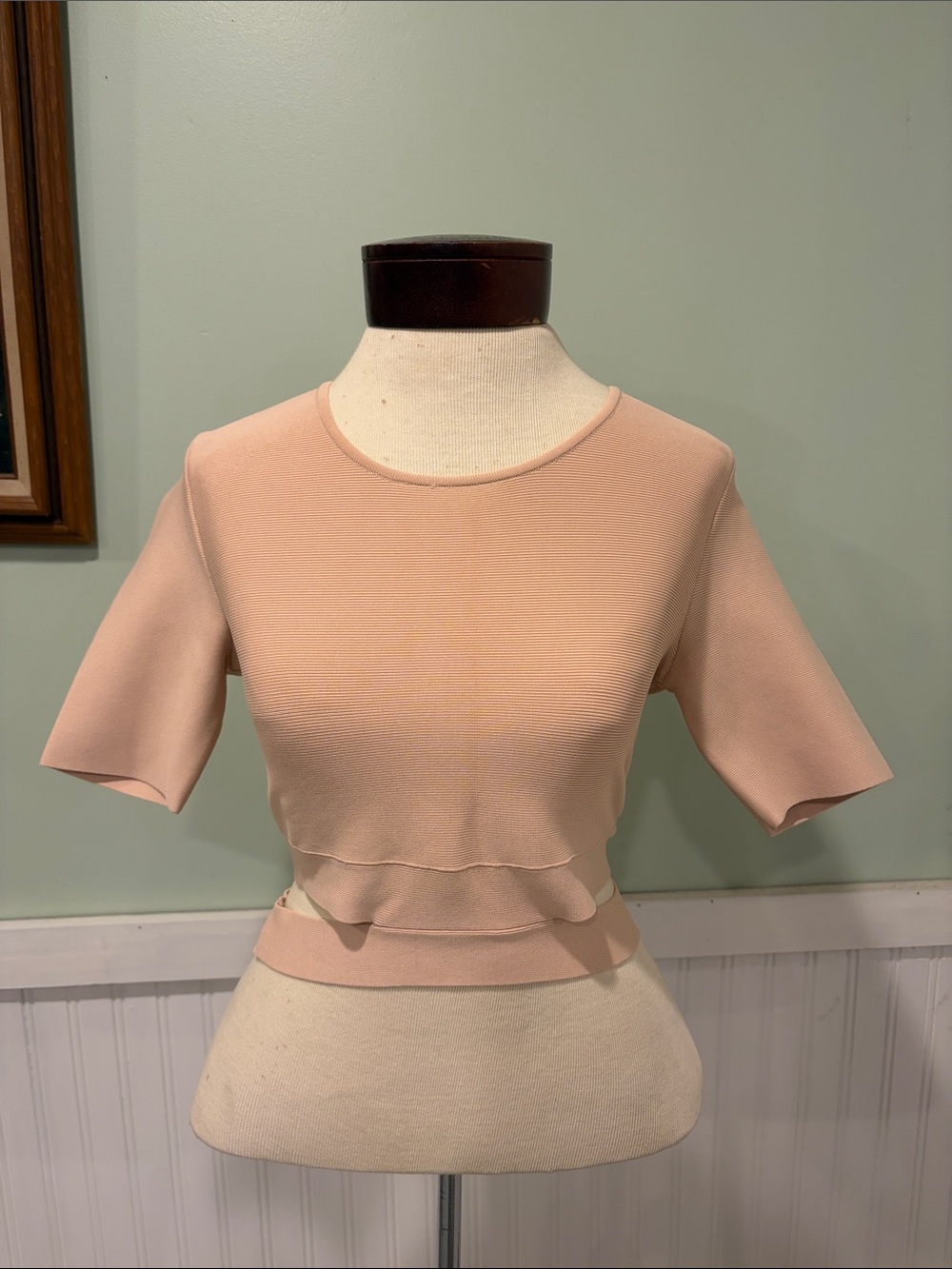 BCBG Maxazria small Women's Blush Pink Short Sleeve Crop Top